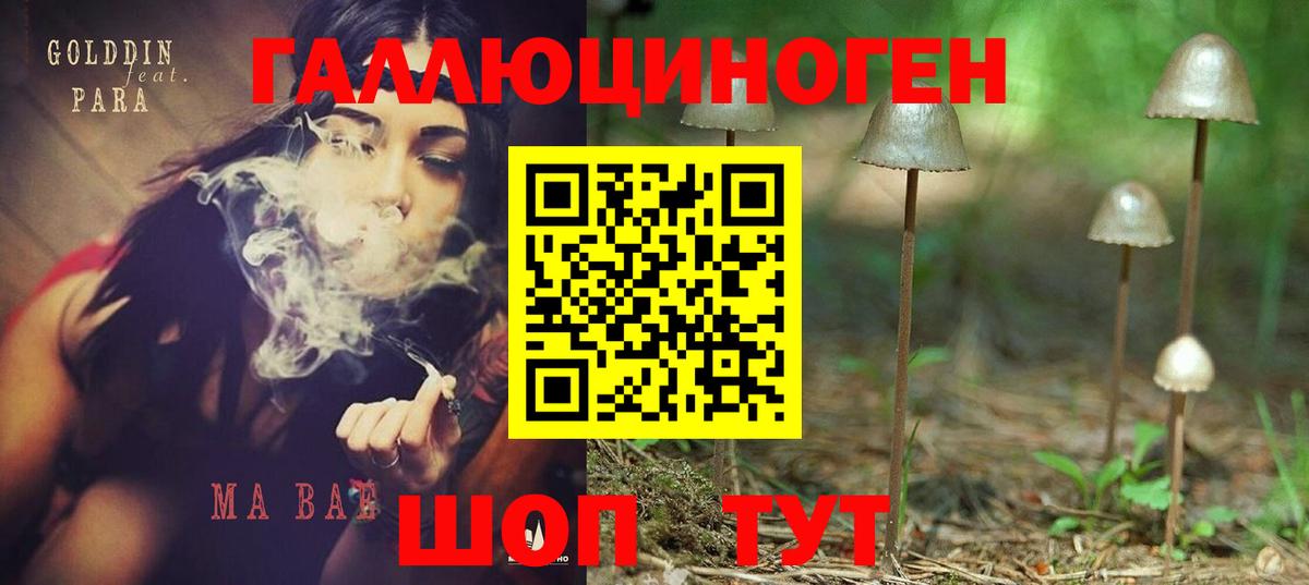 Россошь  Галлюциногенные грибы прущие грибы  Вход с VPN 