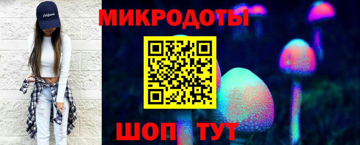 Псилоцибиновые грибы Psilocybe Россошь